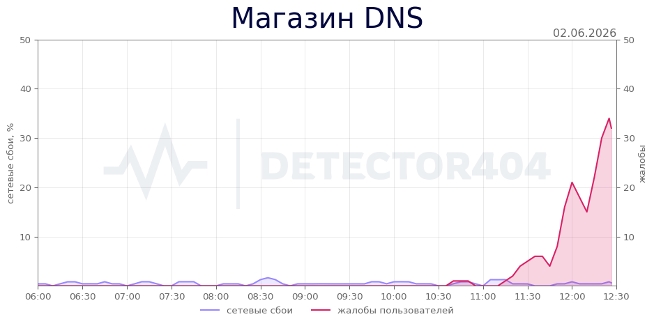 График сбоя Магазин DNS 02.06.2026 г.