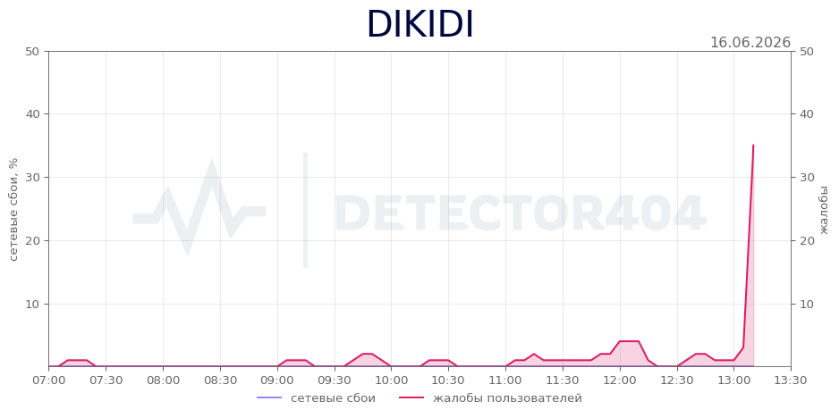 График сбоя DIKIDI 16.06.2026 г.
